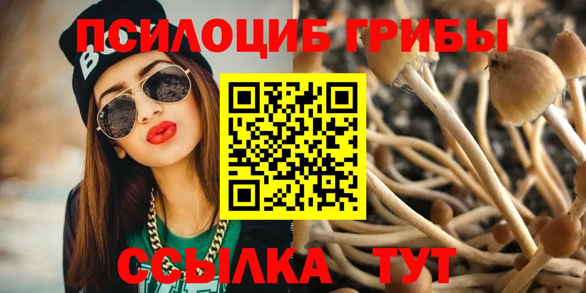 Галлюциногенные грибы Cubensis  где можно купить   Сафоново  Псилоцибиновые грибы мицелий  Вход с VPN 